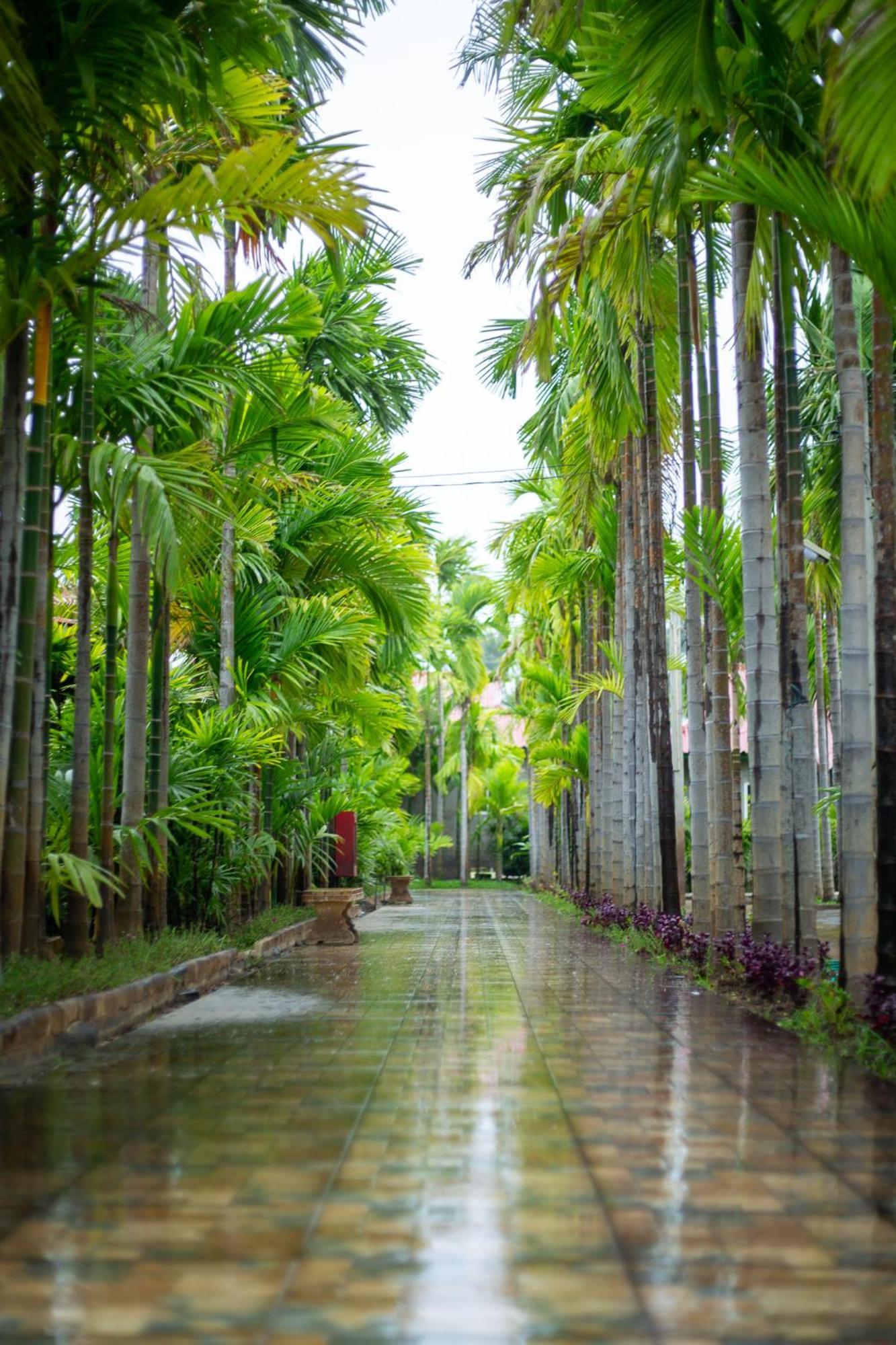 Phanumas Resort Chiang Mai Exteriör bild