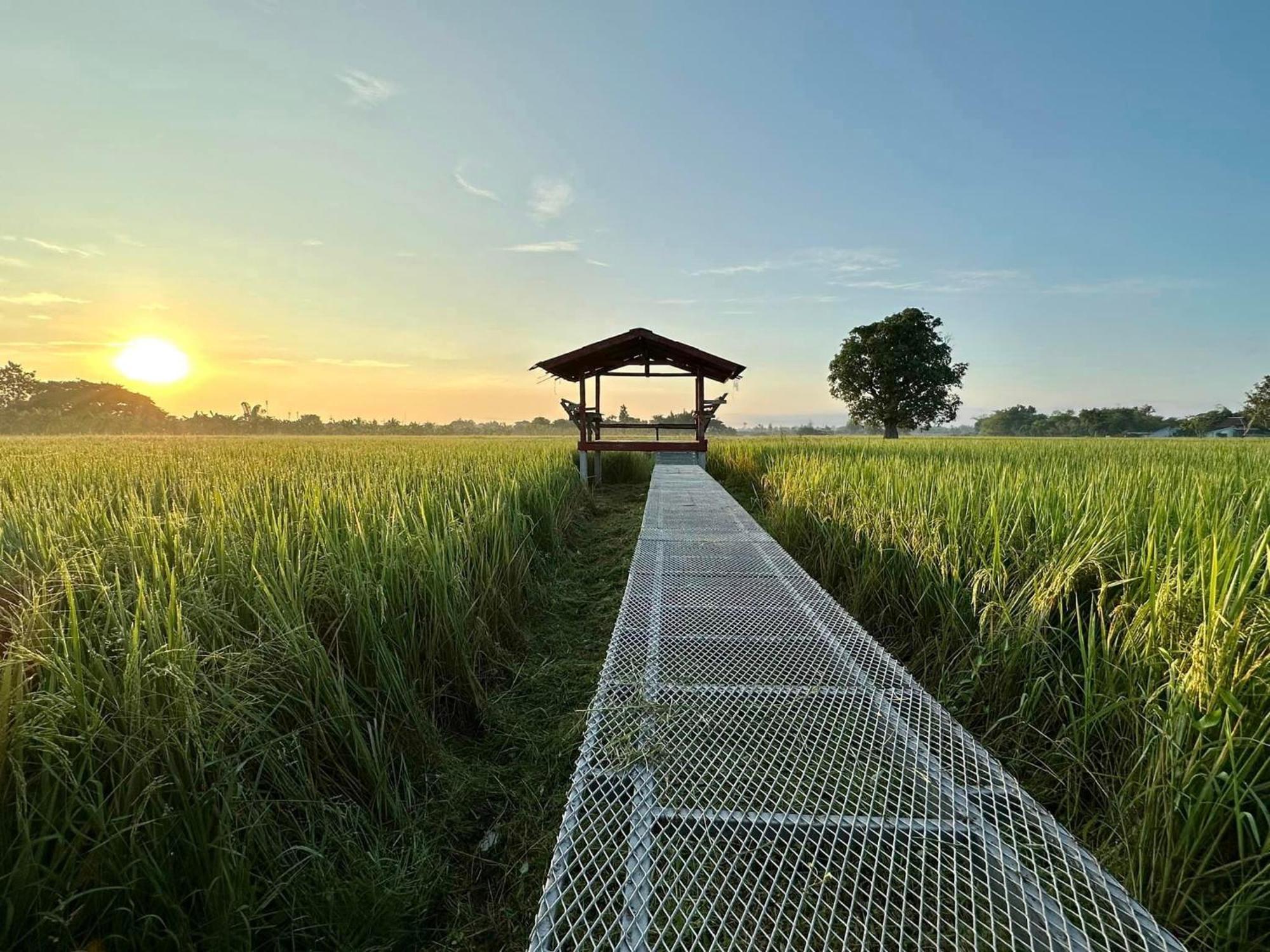 Phanumas Resort Chiang Mai Exteriör bild